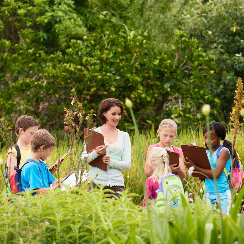 outdoor-learning-woods-square